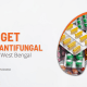 How to get antibiotic antifungal PCD franchise in West Bengal - Cureton Biotech Pvt Ltd