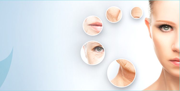 Derma PCD 