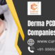 Derma PCD Franchise Companies in Delhi