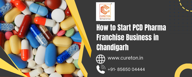 How to Start PCD Pharma Franchise Business in Chandigarh